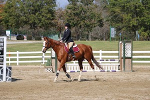 Georgia International Horse Park - photo 3