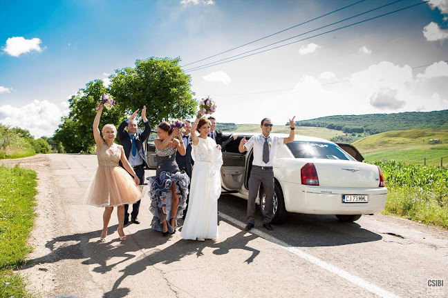 Transilvania Limuzine - Închiriere de mașini