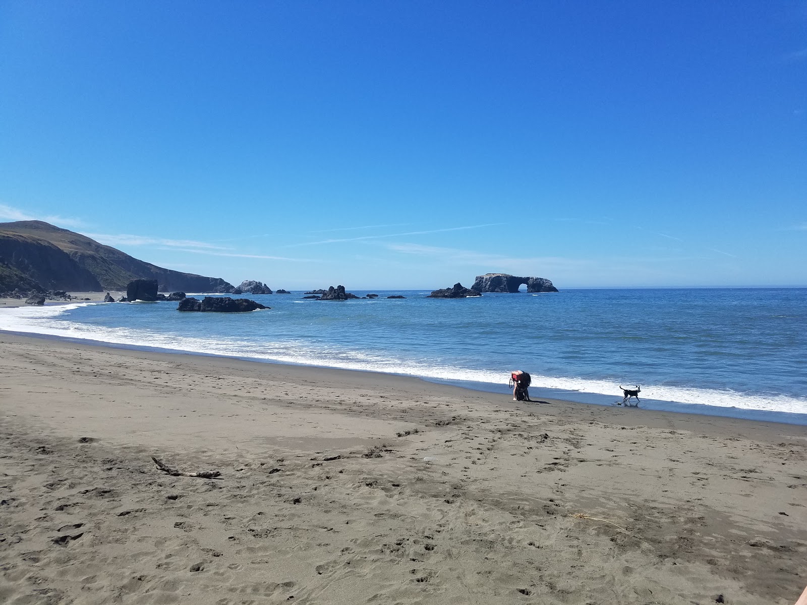 Foto di Goat Rock Beach con una superficie del sabbia beige