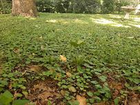 Elevated Living - Photo 4 - Car repair in Olathe, KS, Olathe