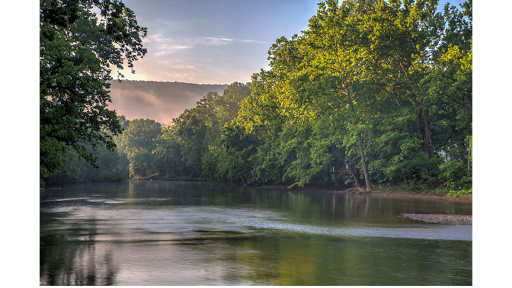 Vineyard «Muse Vineyards», reviews and photos, 16 Serendipity Ln, Woodstock, VA 22664, USA