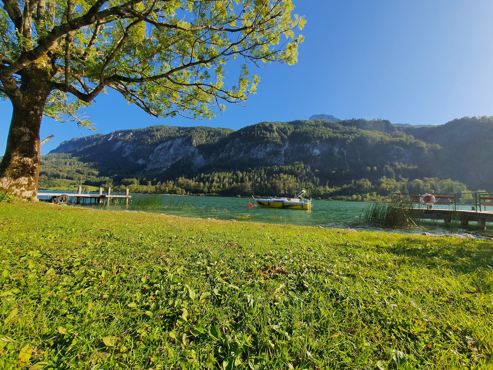 Foto di Strandbad Mondsee con una superficie del erba