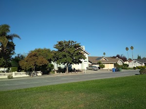 Peter Gill Memorial Park - photo 5