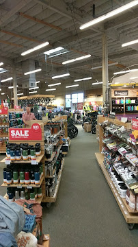 REI - Photo 6 - Car repair in San Carlos, CA, Hayward