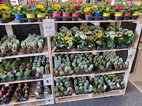 The Home Depot - Photo 4 - Car repair in Warren, MI, Warren