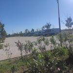 Photo n°2 de l'avis de Feli. fait le 18/09/2022 à 14:32 sur le  Fattoria L'Olmetto à Madonna dell'Acqua