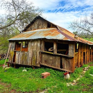 Folsom Lake State Recreation Area - photo 89