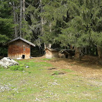 Photo n°2 de l'avis de Sandra.r fait le 08/08/2018 à 14:18 sur le  Ristorante Genziana à Toblach