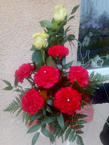 Tulipán Virágszalon