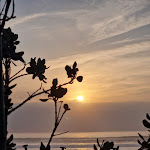 Photo n°1 de l'avis de Frederico.o fait le 05/02/2024 à 09:39 sur le  Restaurante - Bar Praia da Riviera à Costa da Caparica