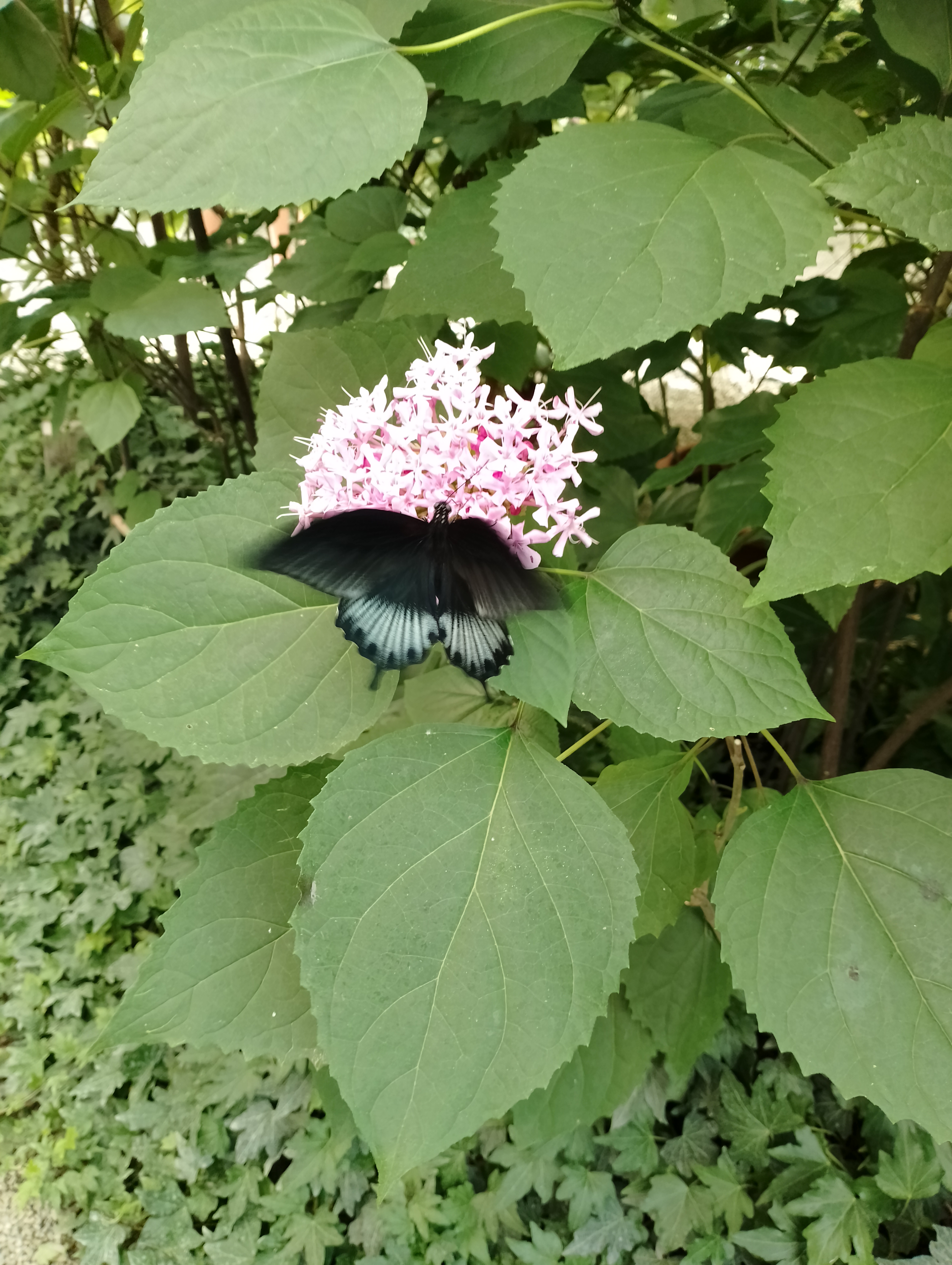 Photo n° 4 de l'avis de Gege.T fait le 22/07/2023 à 13:41