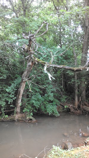 Sandy Springs Park - photo 87