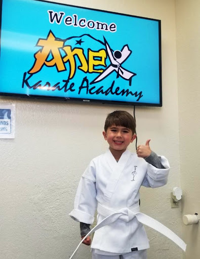Apex Karate Academy