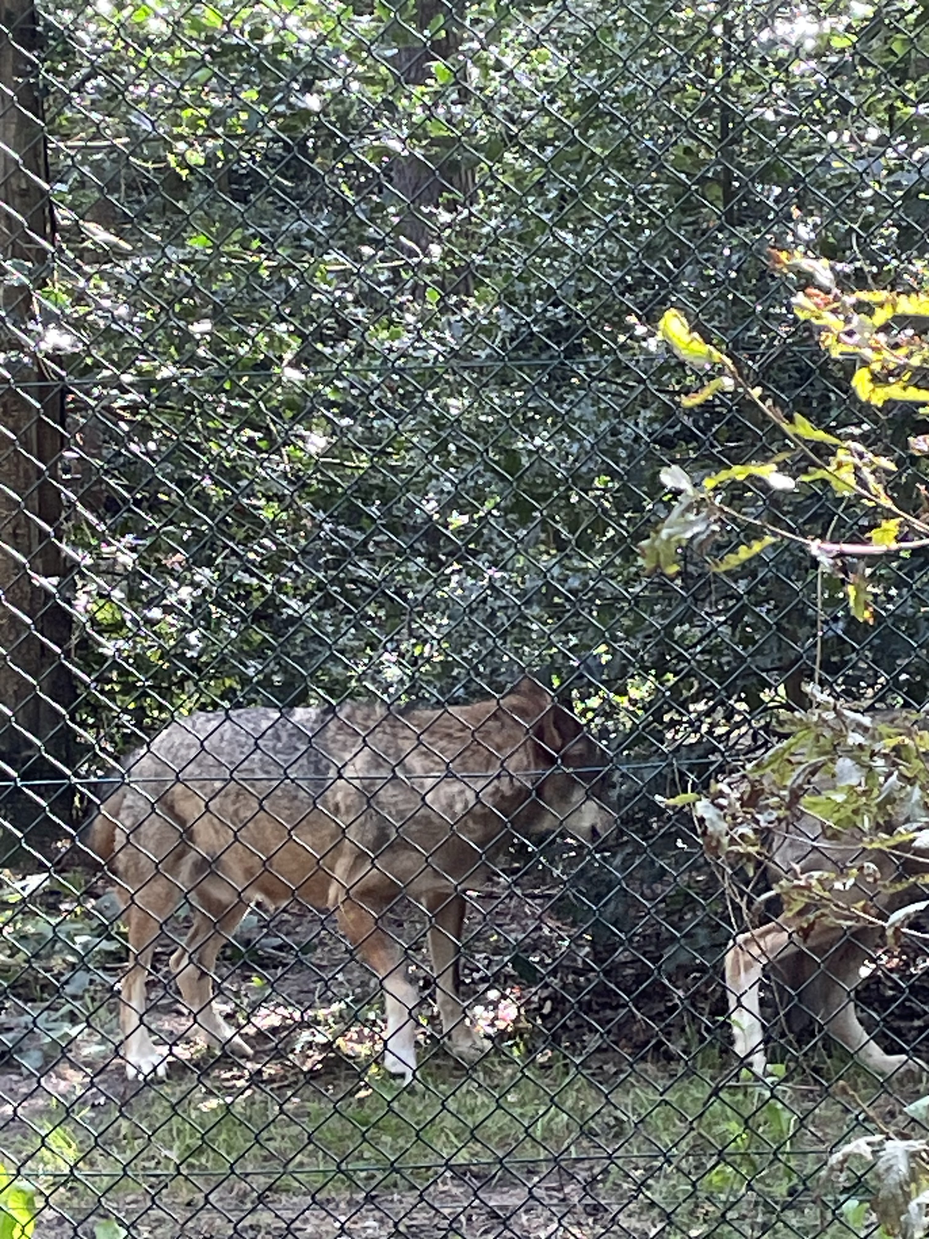 Photo n° 37 de l'avis de catherine.h fait le 22/08/2023 à 10:19