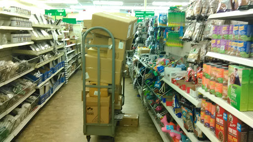 Dollar Store «Dollar Tree», reviews and photos, 170 Strickland Dr, Orange, TX 77630, USA