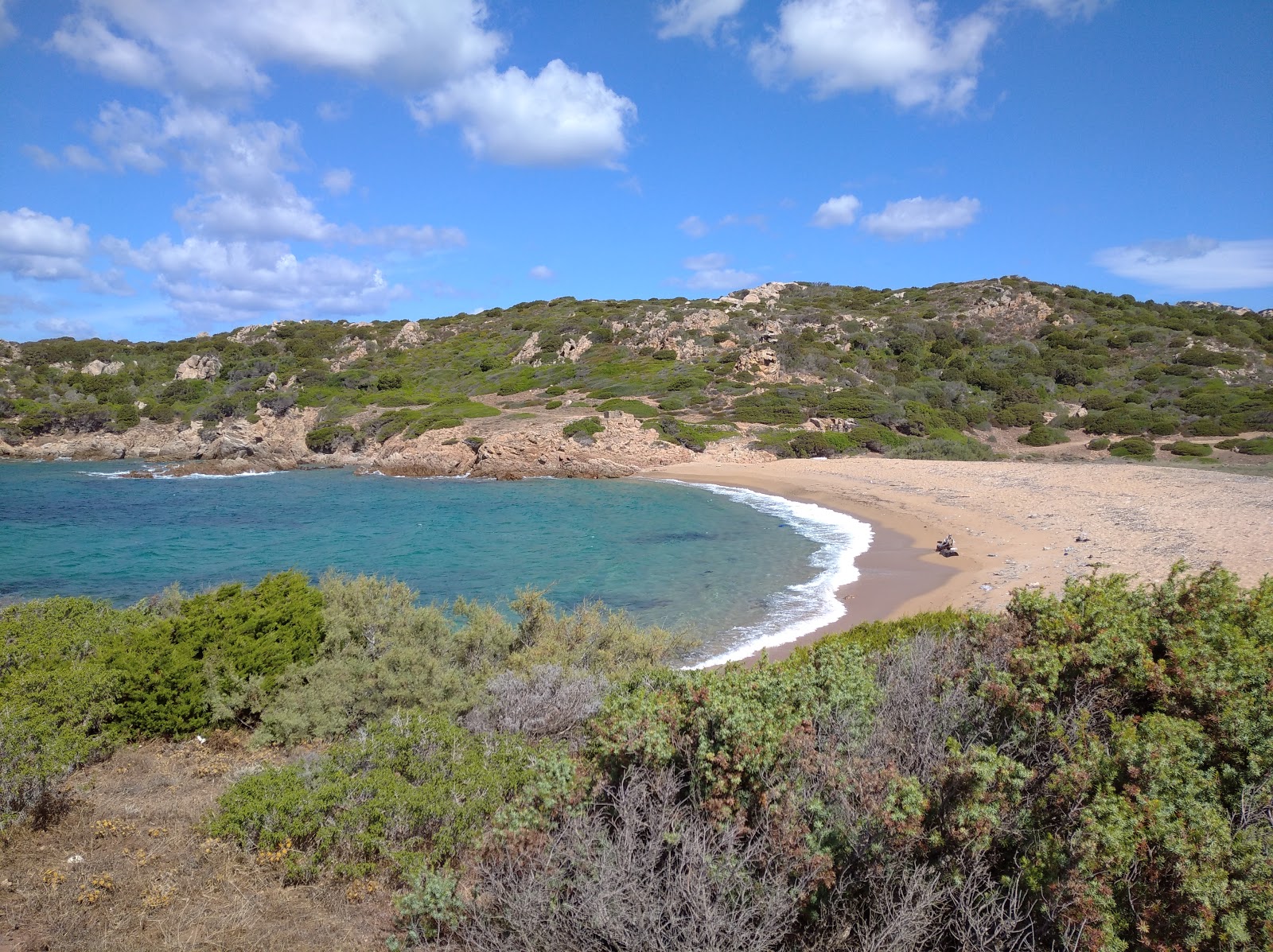 Fotografija Spiaggia La Niculina z rjavi pesek površino