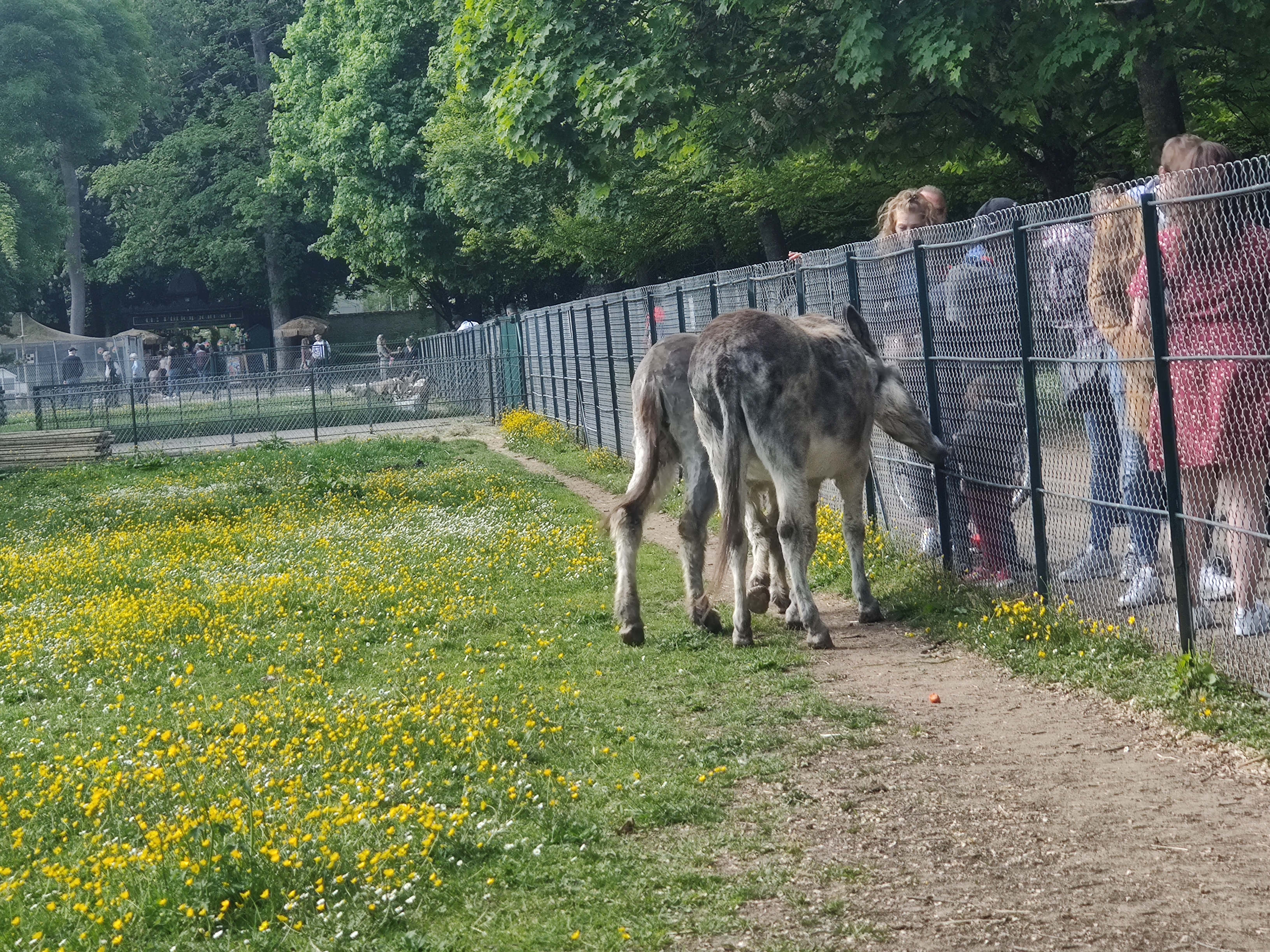 Photo n° 20 de l'avis de Carole.r fait le 01/05/2022 à 15:15
