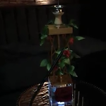 Photo n°3 de l'avis de Bilal.e fait le 08/08/2019 à 20:25 sur le  Flowers Berlin à Berlin