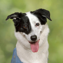 JCPenney Portraits - Photo 3 - Car repair in Fargo, ND, Fargo
