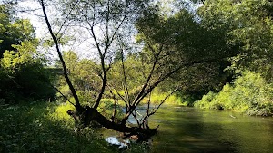 Zielie PARK - photo 36