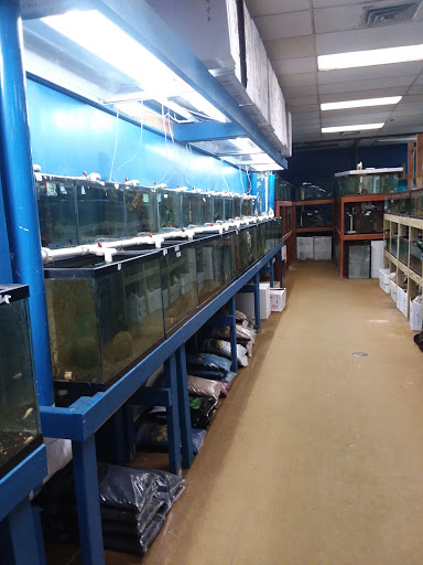 Pet Store «Exotic Fish», reviews and photos, 406 Northside Dr # F, Valdosta, GA 31602, USA