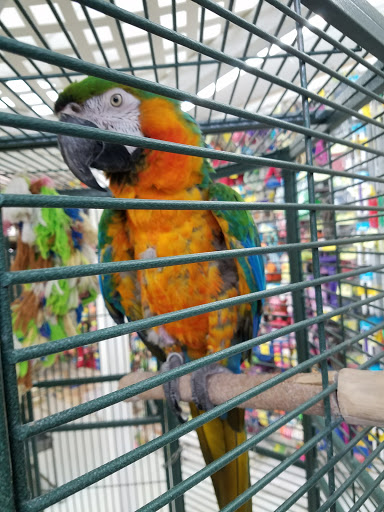 Pet Store «Discount Pet & Supplies», reviews and photos, 16320 Middlebelt Rd, Livonia, MI 48154, USA
