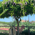 Photo n°6 de l'avis de Pascal.� fait le 27/06/2022 à 13:15 sur le  Il Frutteto ristorante à Lari