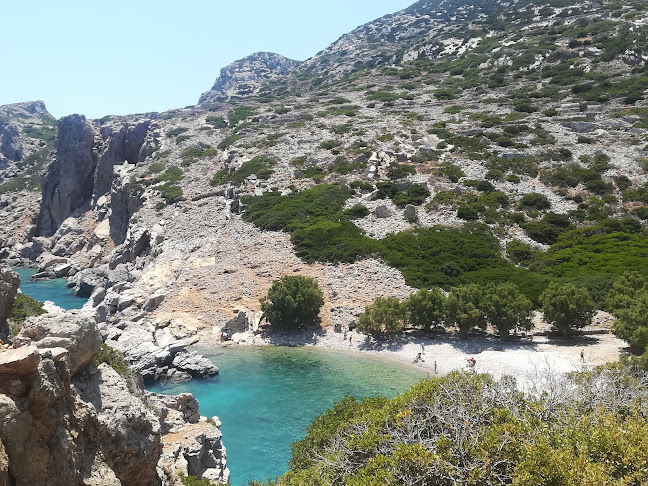 Διαφάνι 857 00