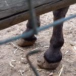 Photo n°3 de l'avis de Rabea.i fait le 30/07/2023 à 21:25 sur le  Parc Gallorose à Loc. Cedrino