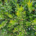 Photo n°3 de l'avis de Mauro.i fait le 05/06/2023 à 17:19 sur le  Argonauts Club Resort & Spa à Marina di Pisticci, Pisticci