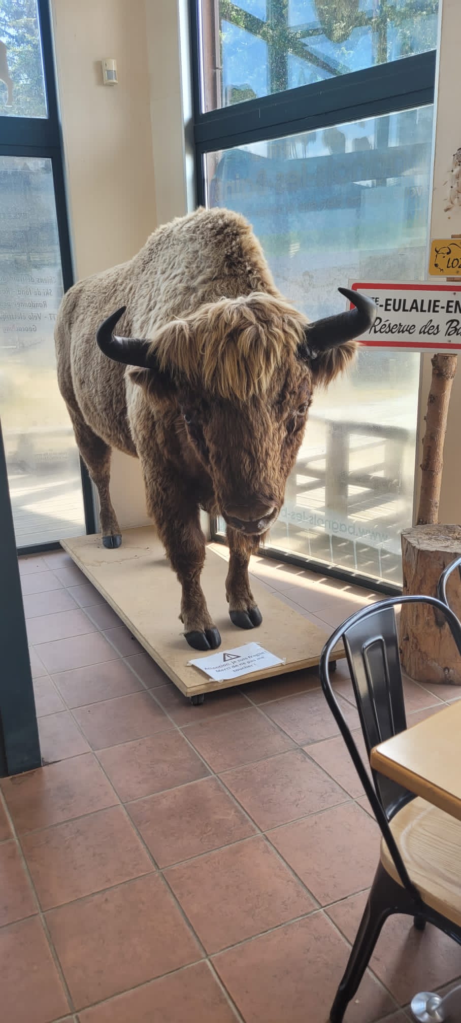 Photo n° 4 de l'avis de Anne-Laure. fait le 13/08/2023 à 19:58