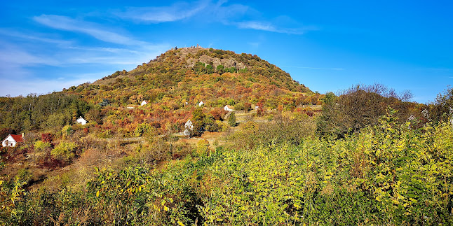 Szent Donát kápolna - Templom