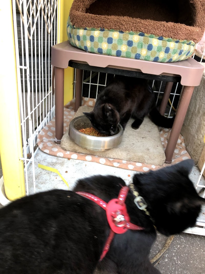 カーサービス黒の兄弟 本店 北海道函館市大縄町 自動車販売店 グルコミ