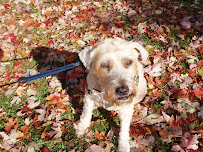 Metro Pets & More - Photo 4 - Car repair in , Minneapolis