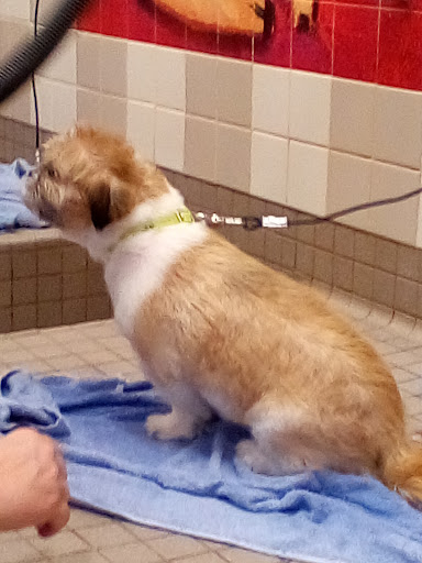 Pet Supply Store «Pet Food Express», reviews and photos, 1315 Linda Mar Shopping Center, Pacifica, CA 94044, USA