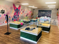 Puppy House - Photo 3 - Car repair in Washington, UT, St. George