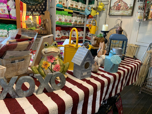 Garden Center «Ivy Corner Garden Center Gift Shop», reviews and photos, 4305 Ivy Rd, Charlottesville, VA 22903, USA