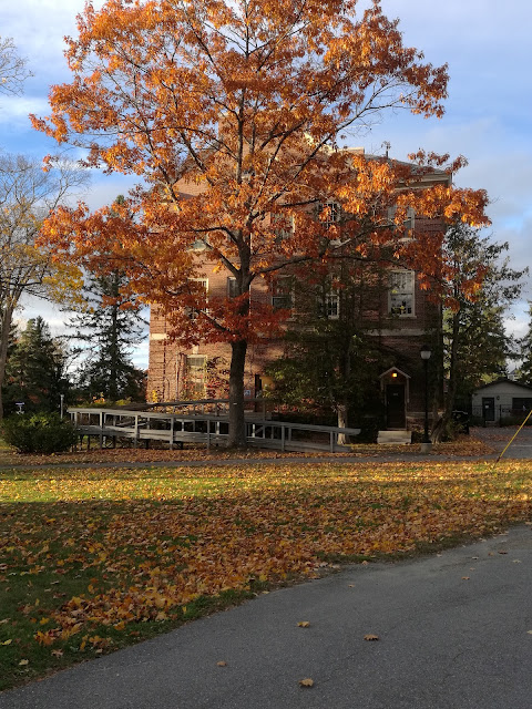 University of Maine by null