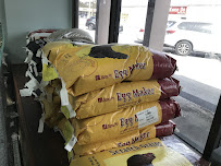 J&M Petshop - Photo 5 - Car repair in Tampa, FL, Tampa