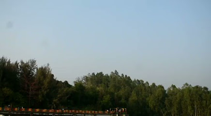 جزيرة المعازة