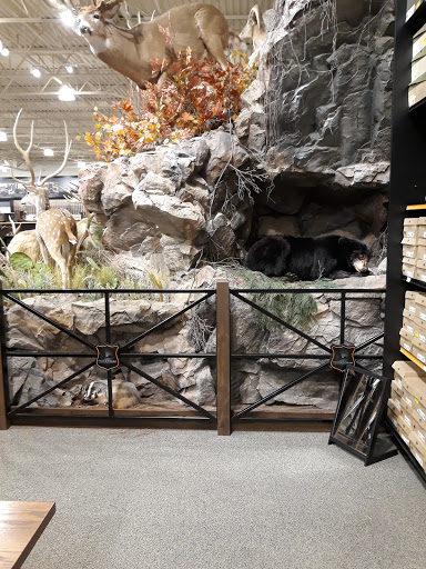Outdoor Sports Store «Field & Stream», reviews and photos, 24600 Katy Fwy Ste 1100B, Katy, TX 77493, USA