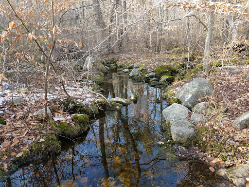 Nature Preserve «Copicut Woods», reviews and photos, Indian Town Rd, Westport, MA 02790, USA