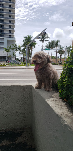 Internet Service Provider «Atlantic Broadband», reviews and photos, 1681 John F Kennedy Causeway, North Bay Village, FL 33141, USA