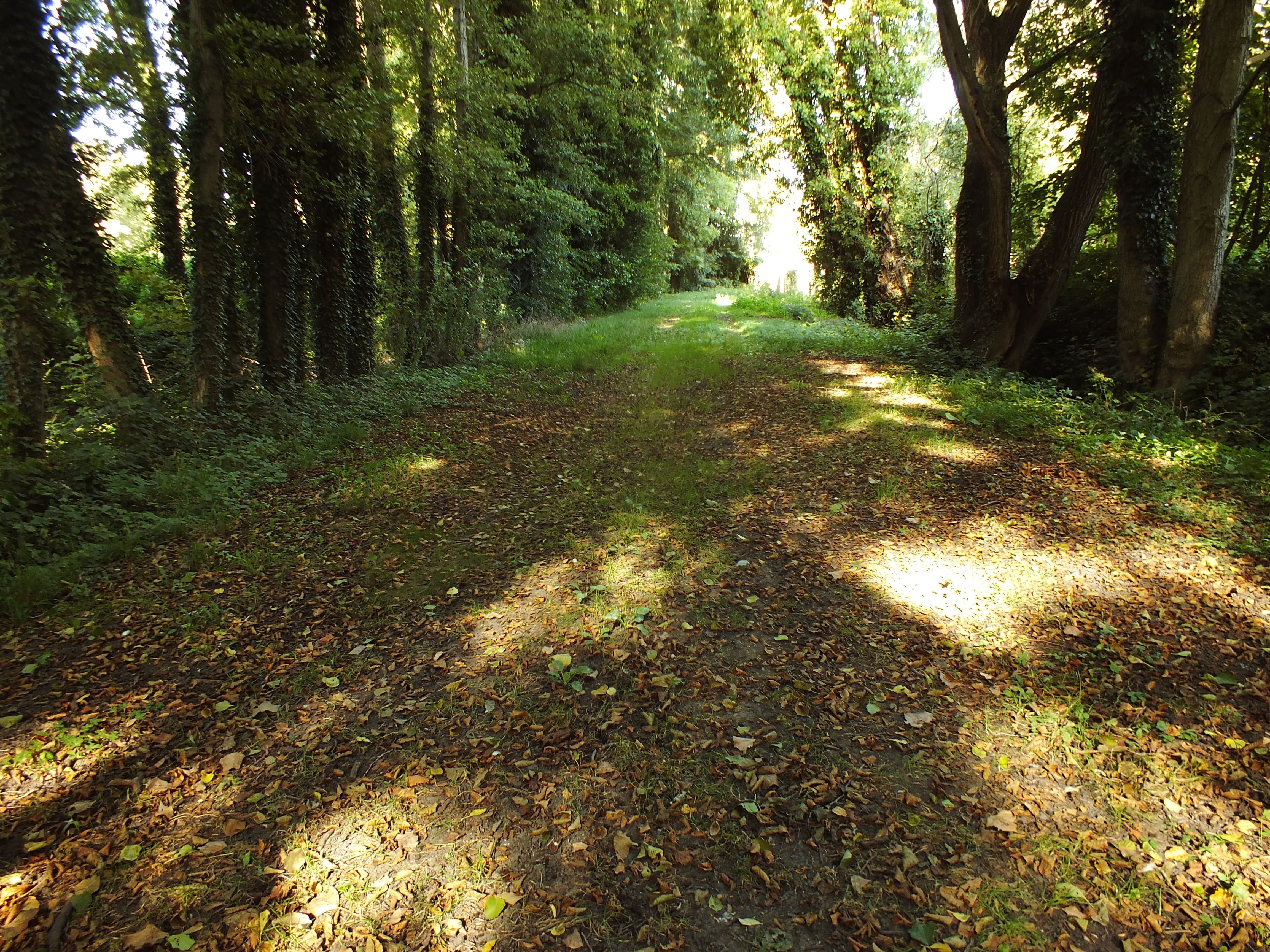 Photo n° 2 de l'avis de Andre.e fait le 05/10/2019 à 11:16