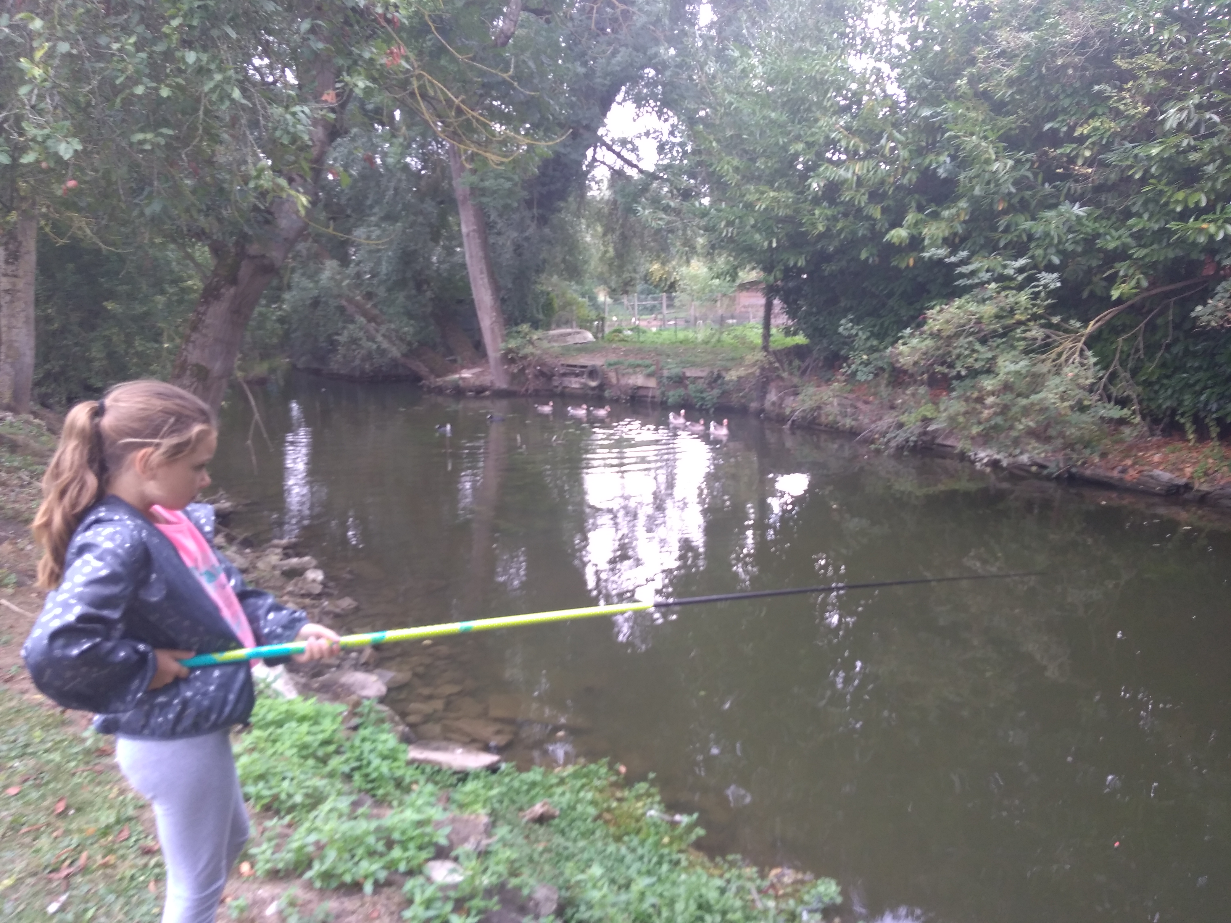 Photo n° 9 de l'avis de Virginie.5 fait le 08/09/2019 à 18:23