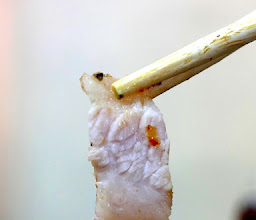 สมหมายเป็ดย่าง ขอนแก่น Sommai Roasted Duck Khon Kaen photo