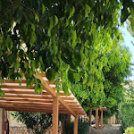 Photo n°2 de l'avis de D..a fait le 08/08/2023 à 12:18 sur le  Hotel Grotticelli à Castellammare del Golfo