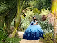 Viva Sonoma Photography - Car repair in , Santa Rosa - Rated 0.0/5