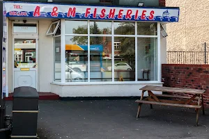 A & M Fisheries image