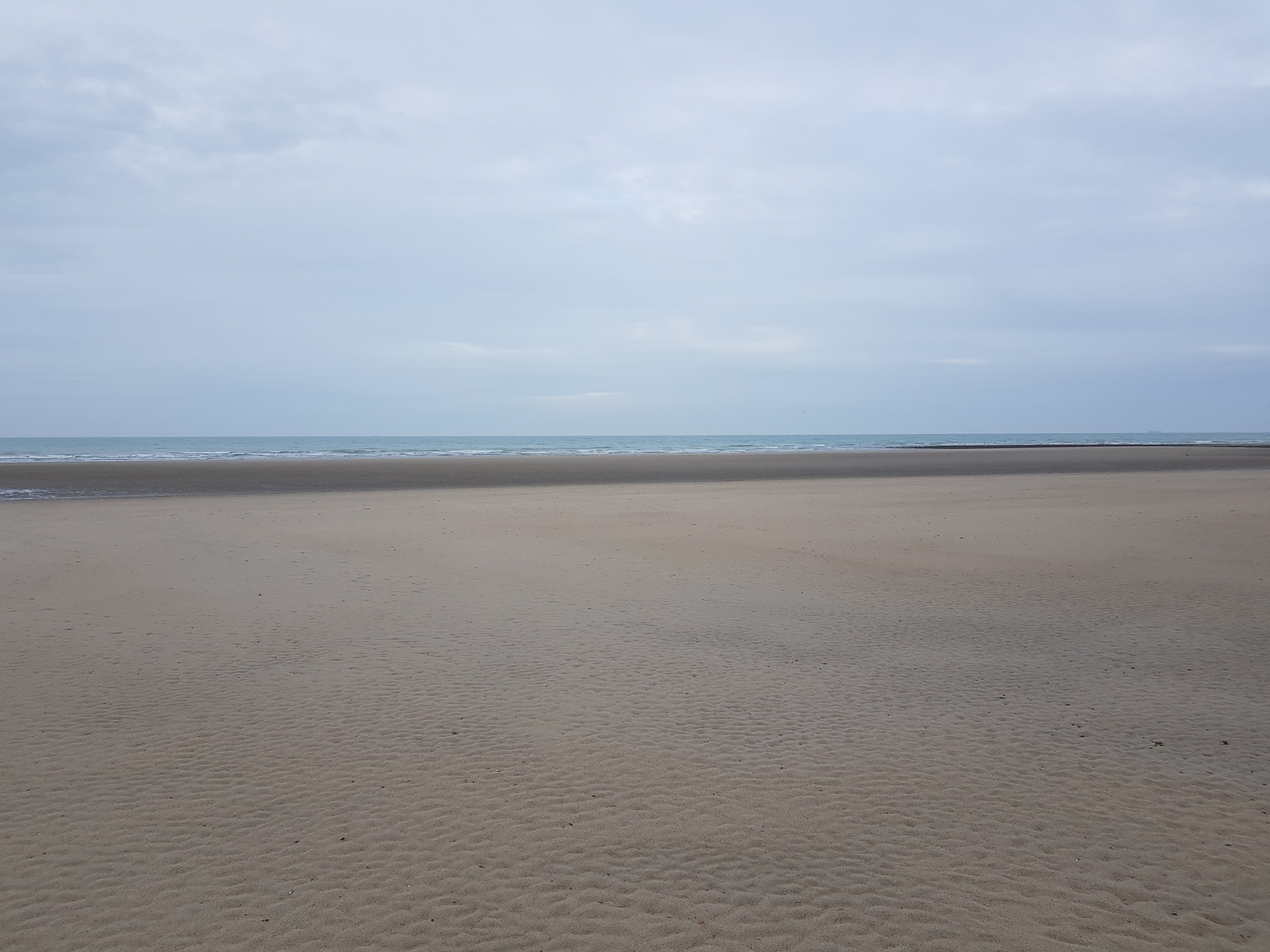 Photo n° 3 de l'avis de Mr.e fait le 13/01/2019 à 14:34